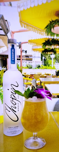 Drink Surfs Up created by Gary Schneck