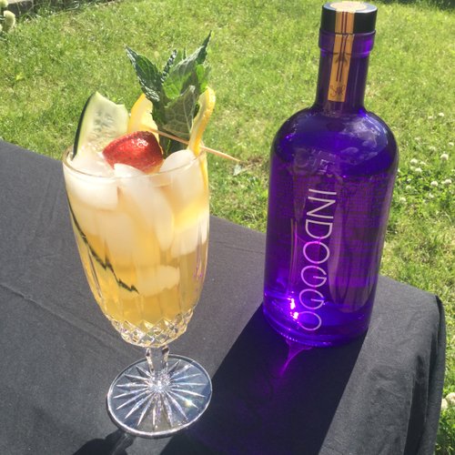 Drink Pimmp's Cup created by Evan Curtis