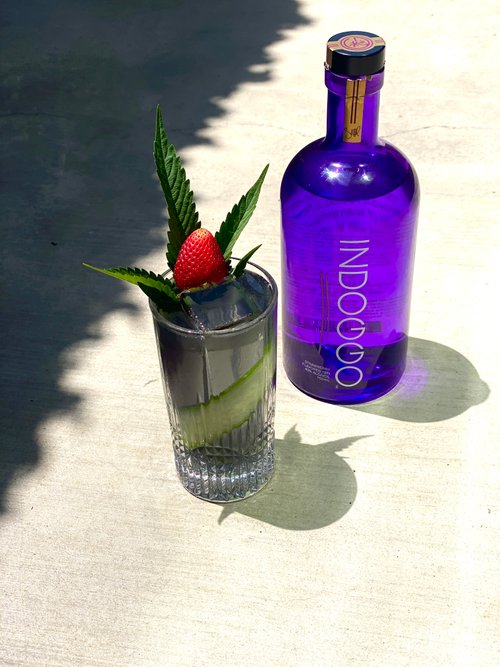 Drink The Pimp's Cup created by Taylor Lax