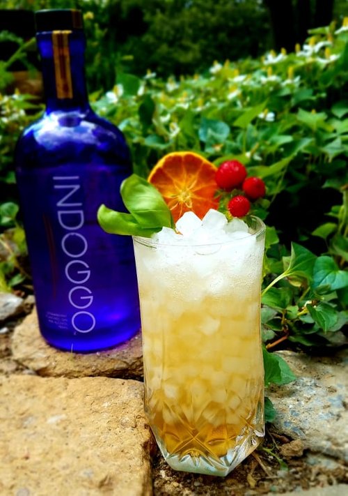 Drink Young, WIld, and Free created by Lauren Pellecchia