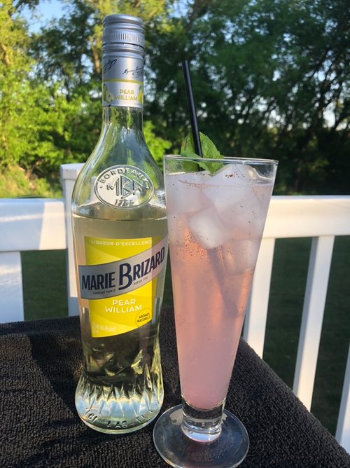 Drink The Pink Pyrus created by Melissa Kim