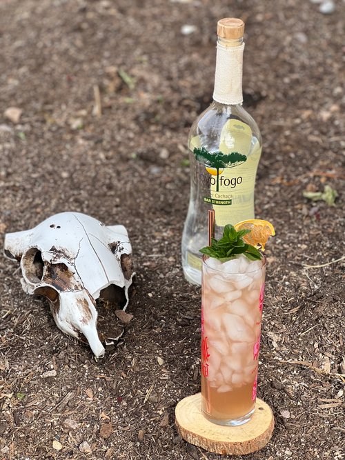 Drink Early Mornin’ Jitters created by Troy Del Grosso