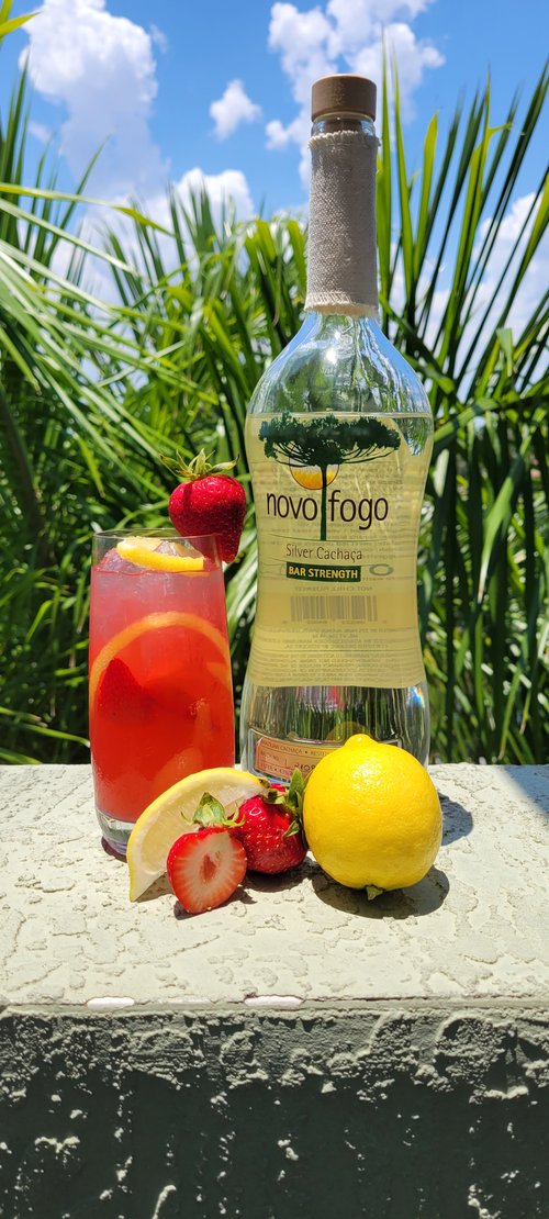 Drink Florida Flamingo  created by Linda Faber