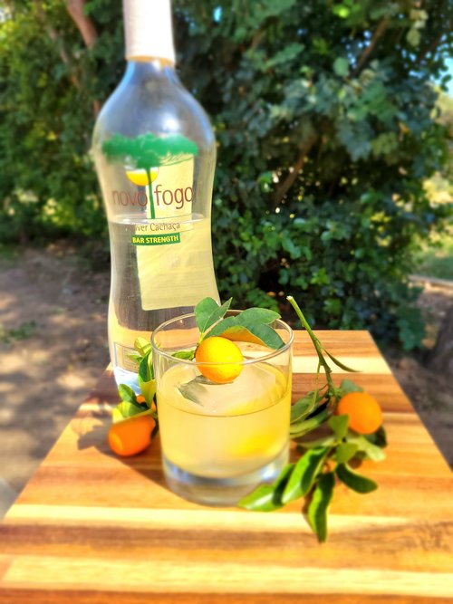 Drink New Life created by Evgeny Anisimov