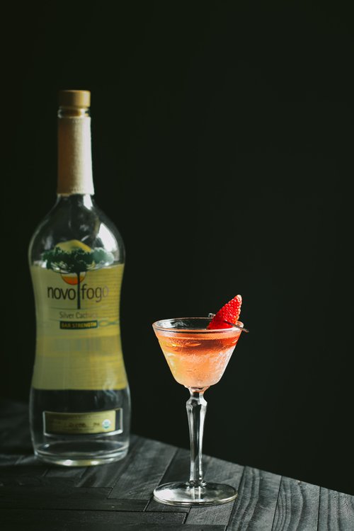 Drink Novo-Tini created by Jonathan Stanyard