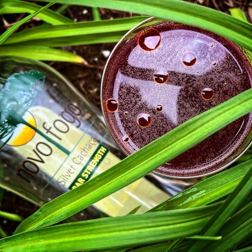 Drink Stella Nova  created by Karla Green