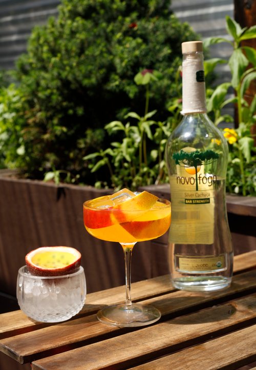 Drink Tropical Environment created by Ana Gonzalez