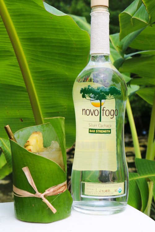 Drink Up In The Tree Tops created by Sarah Karl