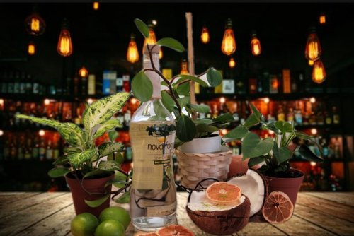 Drink "Vitamin Sea" created by Gary Schneck