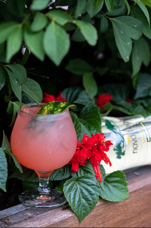 Drink Watermelon Sour High created by Erin Lewis