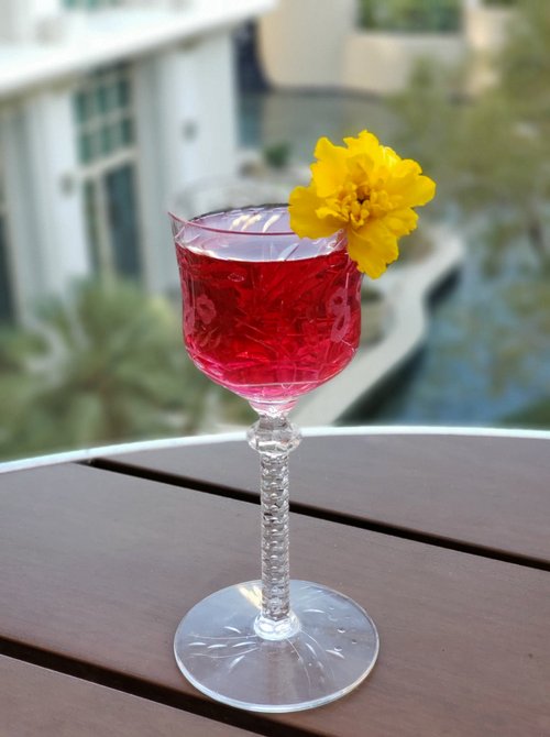 Drink Sherry Infinity created by Leinet Nelson Gonzalez Villavicencio