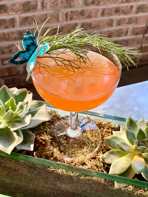 Drink Solar Vortex created by Rachel Sandra Johnson