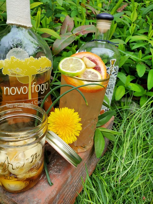 Drink Vampire Repellent created by Kiernan Garrett