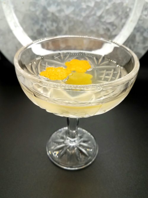 Drink In Bloom created by Lauren Pellecchia