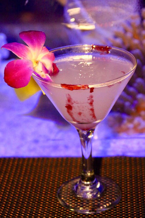 Drink Paradise Punch created by John Solewski