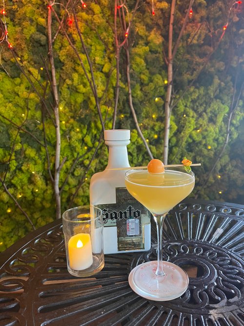 Drink Summer’s Paradox created by Jennifer Pilling