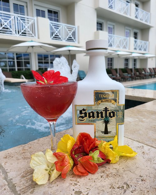 Drink The Oasis created by Linda Faber