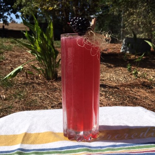 Drink Last Days of Summer created by Alessa Geboff