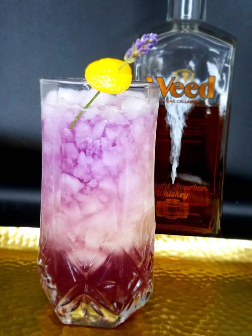 Drink Chrysalis created by Lauren Pellecchia