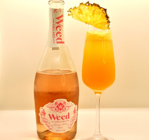 Drink Life Isn't Always Perfect created by Nadine Medina