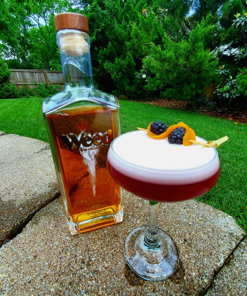 Drink Noir Sour created by Robert Blakely