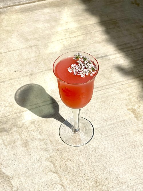 Drink Oaxacan 75 created by taylor lax