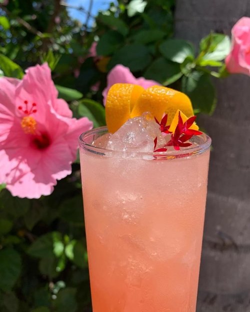 Drink Pretty bird created by Rosalyn Wilson