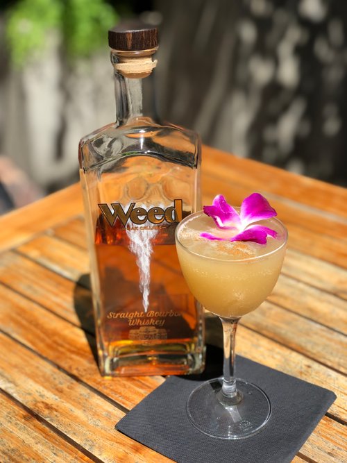 Drink San Diego sunrise created by Nicki Petry